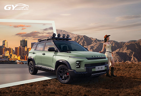 Geely-Cowboy14