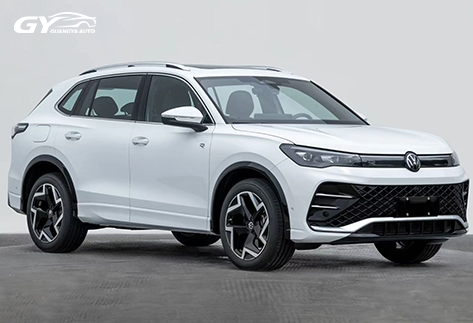 Volkswagen-Tiguan-L16