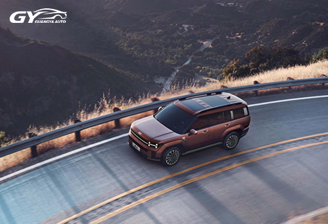 Hyundai-Santa-Fe-15